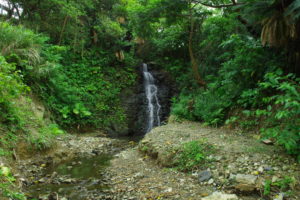 徳之島幸福の滝